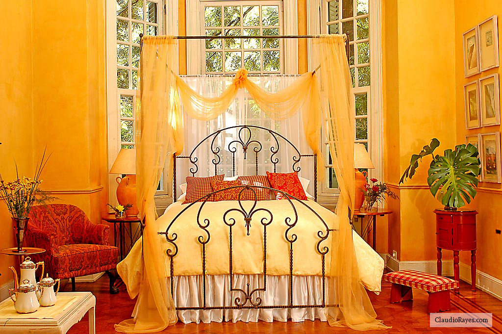 Iron Bed Claudio Rayes #54 with Canopy