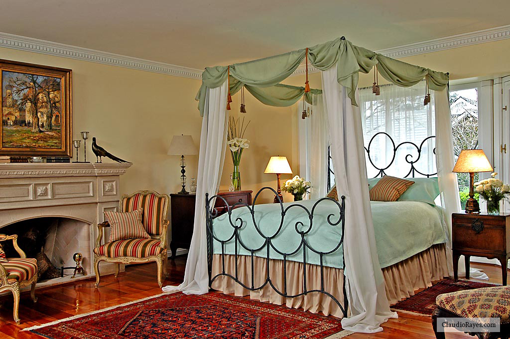 Iron Bed Claudio Rayes #52 with Canopy